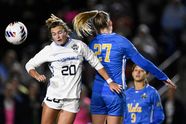 成长阶段 成长阶段