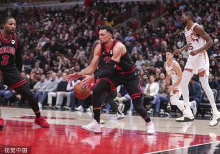 卫杨鸣在大 卫杨鸣在大